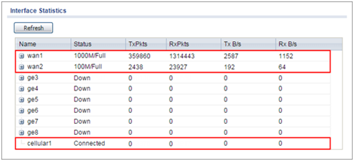 Interface Statistics