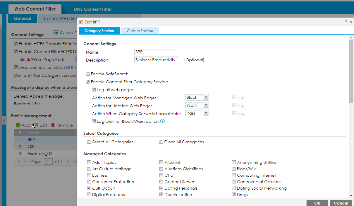 DNS content filter profile editor