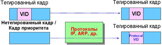 Где хранится конфигурационный файл сети vlan