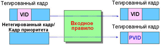 Где хранится конфигурационный файл сети vlan